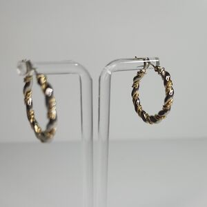 Elegant Gold and Silver Twisted Hoop Earrings